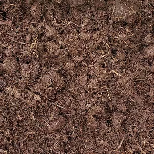 Mushroom Compost